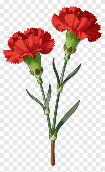 Red Carnation With Green Stem And Leaf PNG