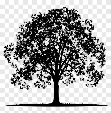 Black Tree Silhouette PNG