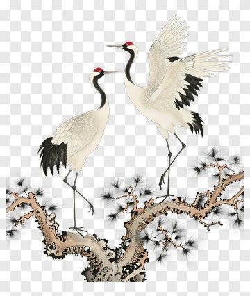 Two Cranes On Pine Branch PNG