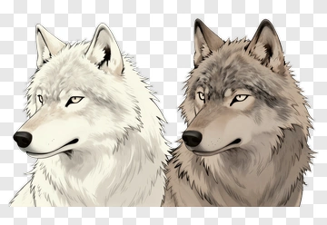 Two Wolves Side By Side PNG