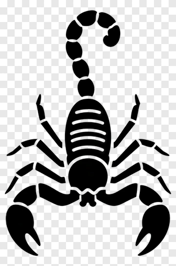 Black Scorpion Silhouette PNG