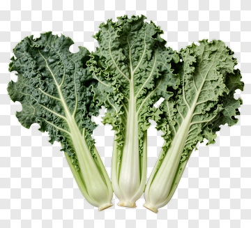 Three Kale Leaves PNG