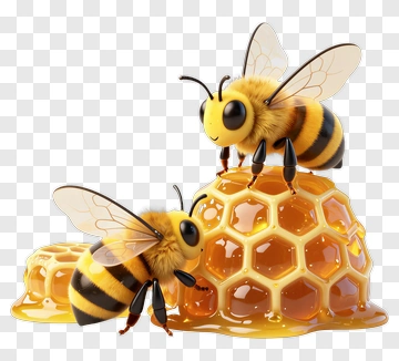 Two Cartoon Bees On Honeycomb PNG