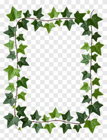 Ivy Leaf Frame Border PNG