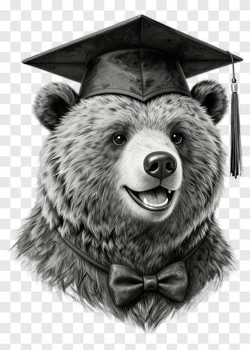 Graduating Bear In Cap And Bow Tie PNG