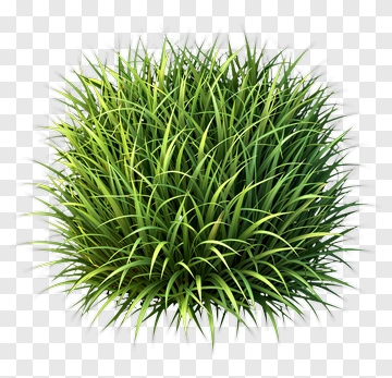 Circular Grass Cluster PNG