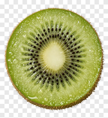 Sliced Kiwi Fruit PNG