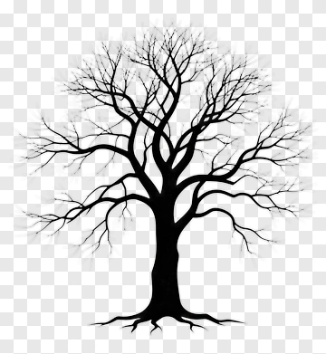 Bare Tree Silhouette PNG