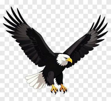 American Eagle In Flight PNG
