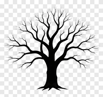 Silhouette Of A Bare Tree PNG