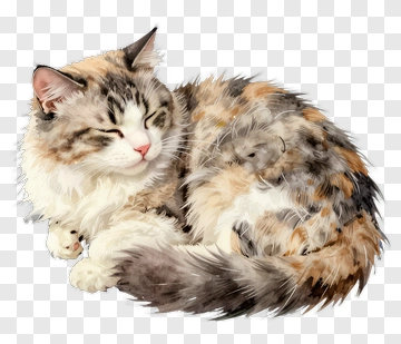 Sleeping Cat PNG