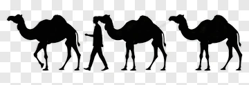 Silhouette Of A Person Walking With Camels PNG