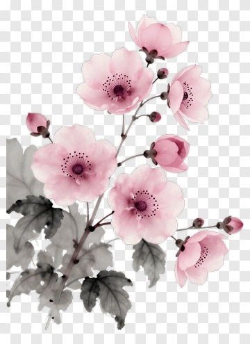 Pink Blossoms With Gray Leaves PNG