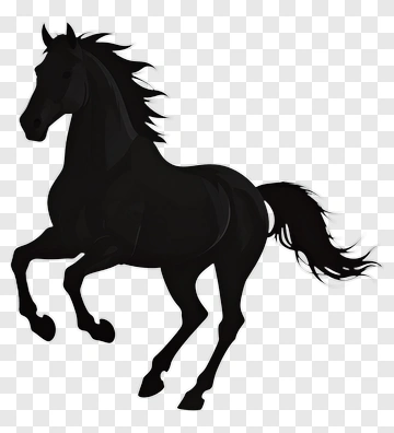 Black Horse Silhouette PNG