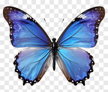 Blue Butterfly With Purple Edges PNG