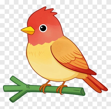 Cute Red And Yellow Bird On Branch PNG