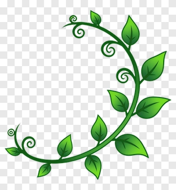Green Vine With Leaves PNG