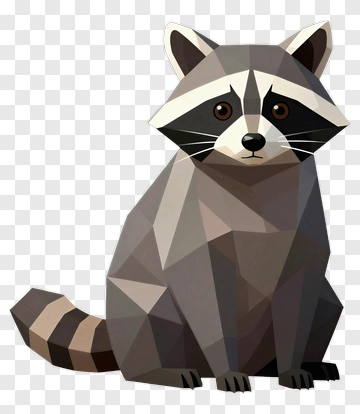 Raccoon PNG