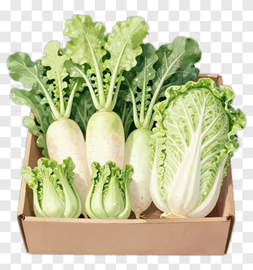 Fresh Vegetables In Box PNG