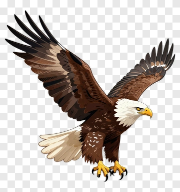 Eagle In Flight PNG