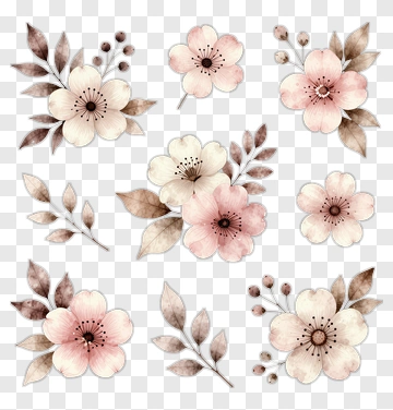 Watercolor Floral Elements PNG