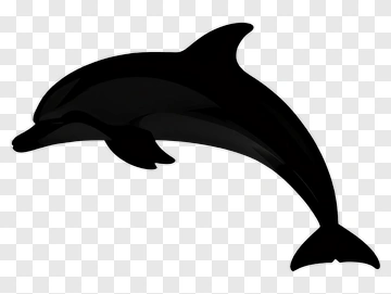 Black Dolphin Silhouette PNG
