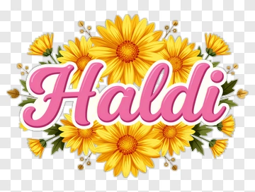 Haldi Text With Flower Design PNG