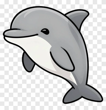 Cute Dolphin PNG