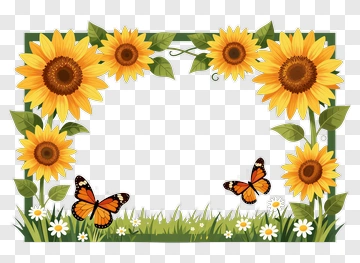 Sunflower Butterfly Garden Frame PNG