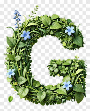 Letter C With Floral Design PNG