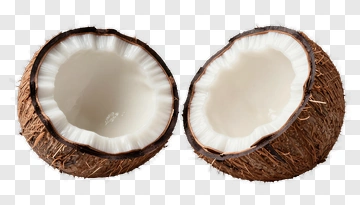 Coconut Cut In Half PNG