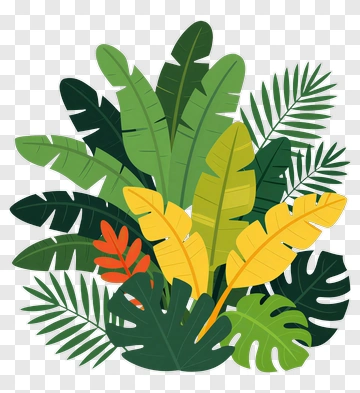 Tropical Leaves Design PNG