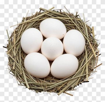 White Eggs In A Nest PNG