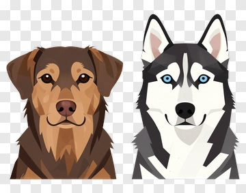 Dog And Husky Portrait PNG