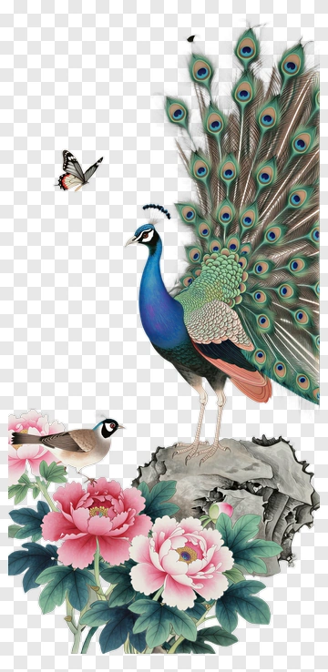 Peacock And Butterfly Among Peonies PNG