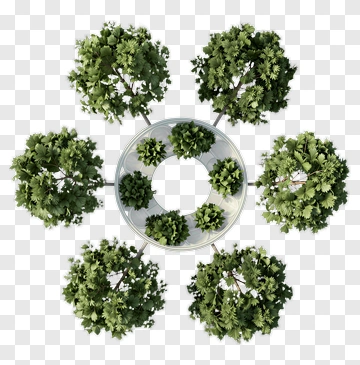 Circular Arrangement Of Trees PNG
