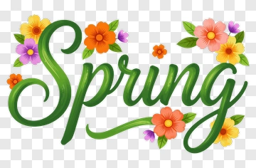 Spring Lettering With Floral Decorations PNG