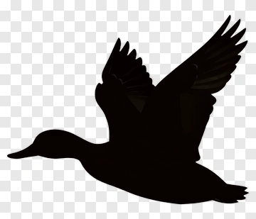Black Duck Silhouette PNG