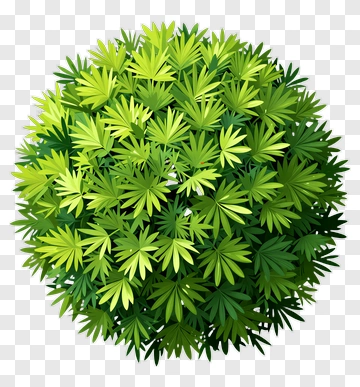 Round Green Bush PNG
