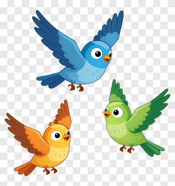 Three Colorful Flying Birds PNG