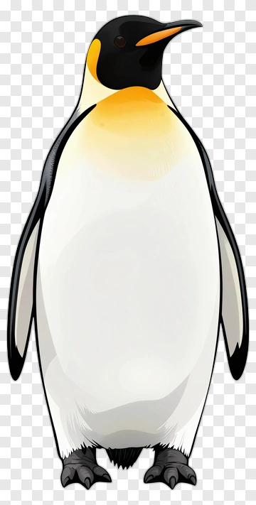 Emperor Penguin Standing Upright PNG