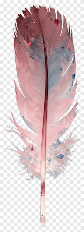 Watercolor Feather PNG