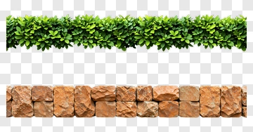 Green Hedge And Stone Wall PNG