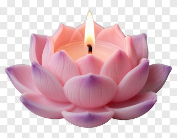 Lotus Candle PNG