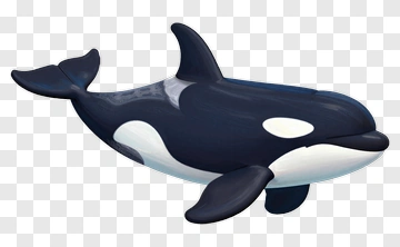 Orca PNG
