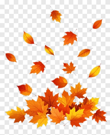 Autumn Leaves Falling PNG