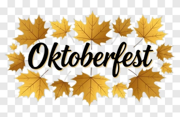 Oktoberfest With Gold Maple Leaves PNG