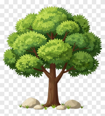 Cartoon Tree With Green Leaves PNG