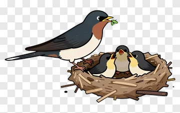 Parent Bird Feeding Chicks In Nest PNG