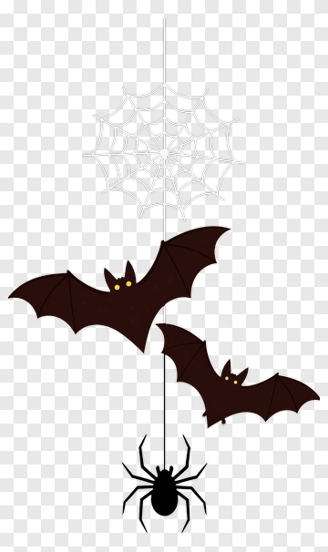 Spooky Spider And Bats PNG